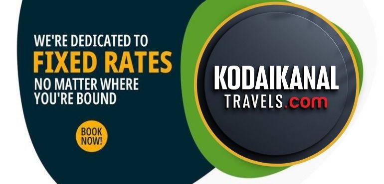 Car Rental
