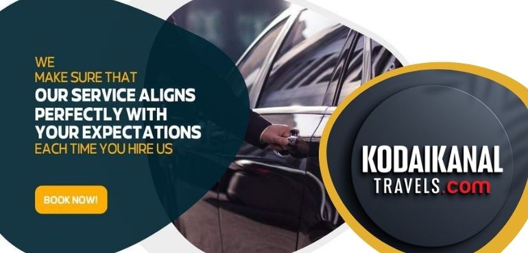 Car Rental