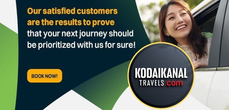 Car Rental
