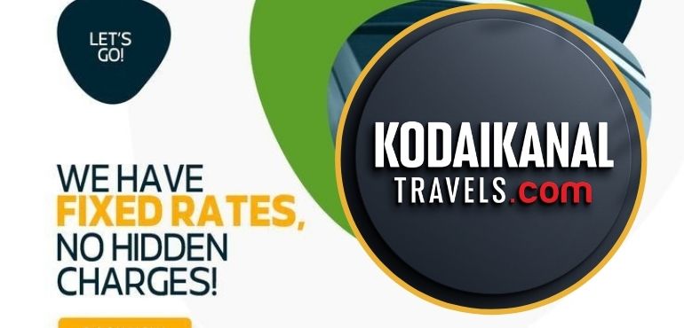 Car Rental